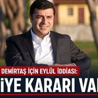 Siyaset