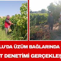 Turgutlu