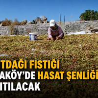 Manisa