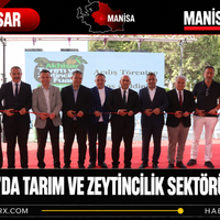 Manisa