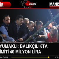 Ege