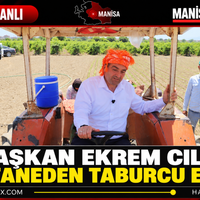 Manisa