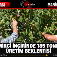Manisa