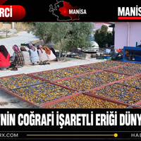 Manisa