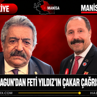 Siyaset