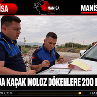 Manisa