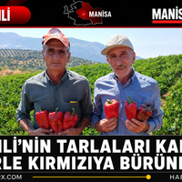 Manisa