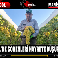 Manisa