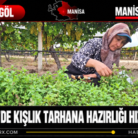 Manisa