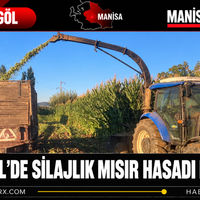 Manisa