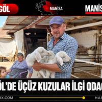 Manisa
