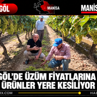 Manisa
