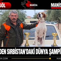 Sarıgöl