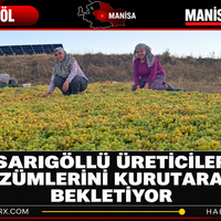 Manisa