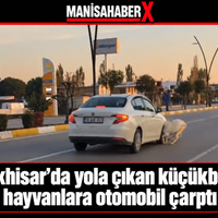 Manisa