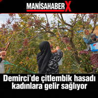 Manisa