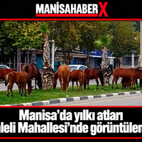 manisa