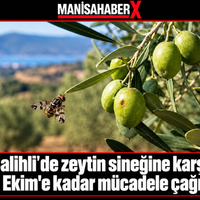 Manisa