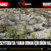 Manisa