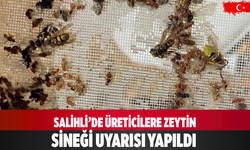 Salihli’de üreticilere zeytin sineği uyarısı yapıldı