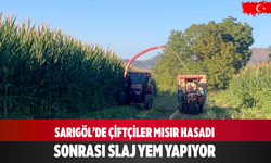 Sarıgöl’de Çiftçiler Mısır Hasadı Sonrası Slaj Yem Yapıyor