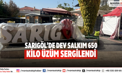 Sarıgöl’de dev salkım 650 kilo üzüm sergilendi
