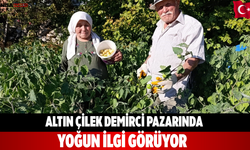 Altın çilek Demirci pazarında yoğun ilgi görüyor