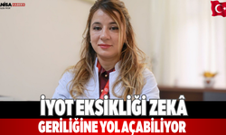İyot eksikliği zekâ geriliğine yol açabiliyor