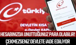E-Devlet hesabınızda unuttuğunuz para olabilir!