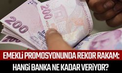 Emekli promosyonunda rekor rakam: Hangi banka ne kadar veriyor?