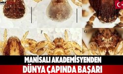 Manisalı akademisyenden dünya çapında başarı