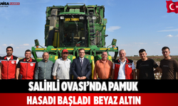 Salihli Ovası’nda pamuk hasadı başladı: Beyaz Altın