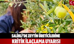 Salihli’de Zeytin Üreticilerine Kritik İlaçlama Uyarısı