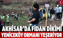Akhisar’da Fidan Dikimi Yeniceköy Ormanı Yeşeriyor