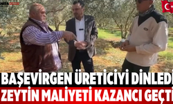Başevirgen üreticiyi dinledi Zeytin maliyeti kazancı geçti