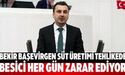 Bekir Başevirgen besici her gün zarar ediyor