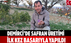 Demirci’de Safran Üretimi İlk Kez Başarıyla Yapıldı