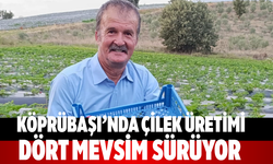 Köprübaşı’nda Çilek Üretimi Dört Mevsim Sürüyor
