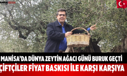 Manisa’da Dünya Zeytin Ağacı Günü Buruk Geçti