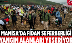 Manisa’da Fidan Seferberliği Yangın Alanları Yeşeriyor