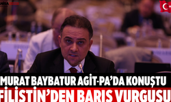 Murat Baybatur AGİT-PA’da Konuştu Filistin’den Barış Vurgusu
