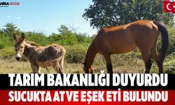 Tarım Bakanlığı Duyurdu Sucukta At ve Eşek Eti Bulundu