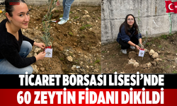 Ticaret Borsası Lisesi’nde 60 zeytin fidanı dikildi