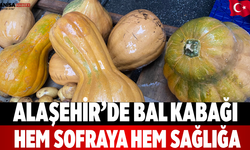 Alaşehir’de Bal Kabağı Hem Sofraya Hem Sağlığa
