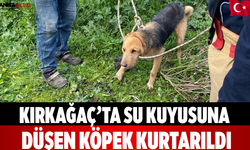 Kırkağaç’ta Su Kuyusuna Düşen Köpek Kurtarıldı