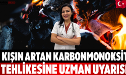 Kışın artan karbonmonoksit tehlikesine uzman uyarısı