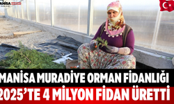 Manisa Orman Fidanlığı 2025’te 4 Milyon Fidan Üretti