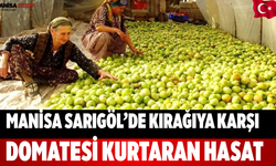 Manisa Sarıgöl’de Kırağıya Karşı Domatesi Kurtaran Hasat