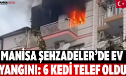 Manisa Şehzadeler’de Ev Yangını: 6 Kedi Telef Oldu