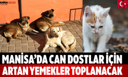 Manisa’da Can Dostlar İçin Artan Yemekler Toplanacak